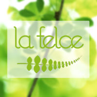 Logo-La-Felce